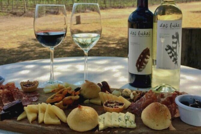 Guided tour and tasting of 4 wines at Viñedo Dos Búhos - FAQ