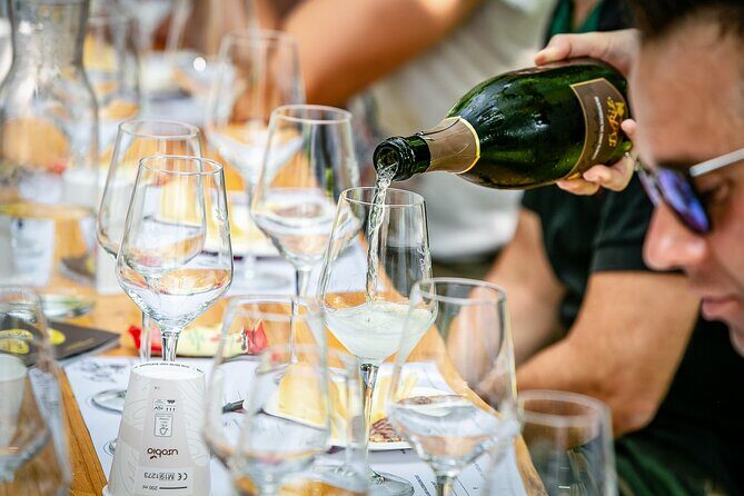 Guided Tour and wine tasting 5 wines to discover the Conegliano Valdobbiadene - Frequently Asked Questions