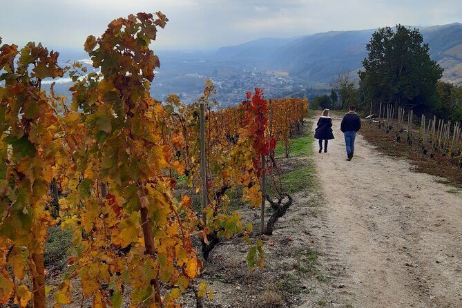 Guided tour and wine tasting Northern Rhône Valley - Key Points