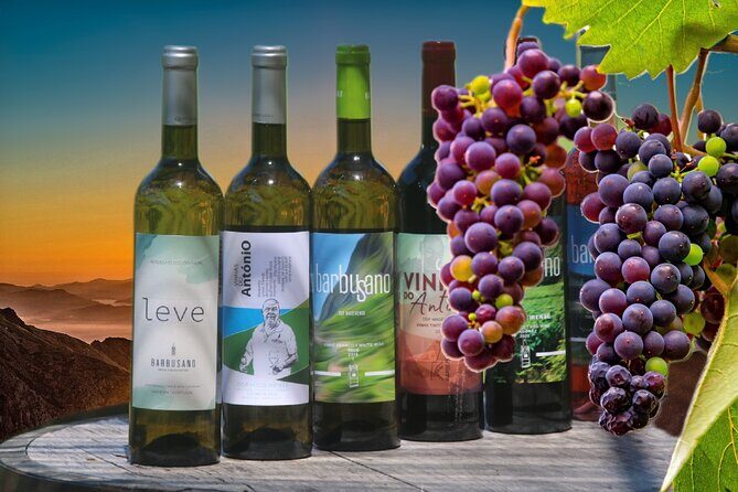 Guided Tour Beyond Vineyards Cabo Girão Skywalk and 4x4 Adventure - A Deep Dive into the Tour Experience