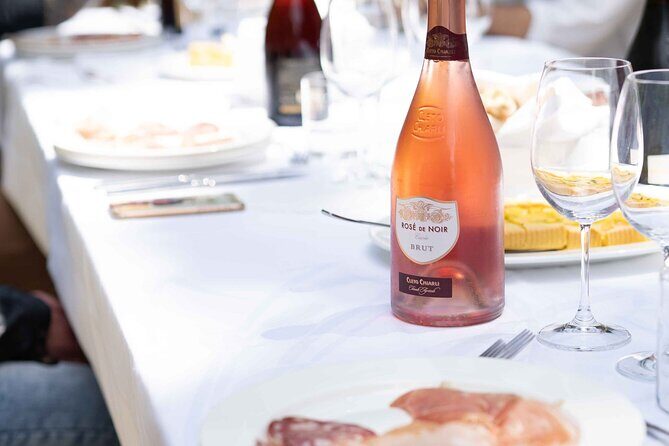 Guided Tour Cleto Chiarli with Lambrusco Tasting - The Experience in Detail