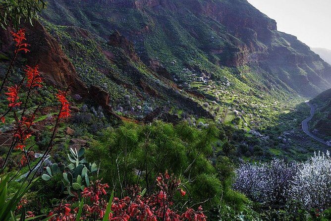 Guided tour: Discover Gran Canaria - Who Should Consider This Tour?