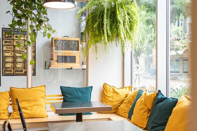 Guided tour « from the bee to the bottle » with tasting - English - Final Thoughts: Is It Right for You?