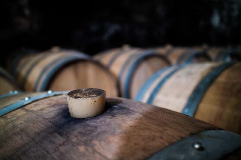 Guided tour from vine to glass - What you can expect from the "Vine to Glass" tour