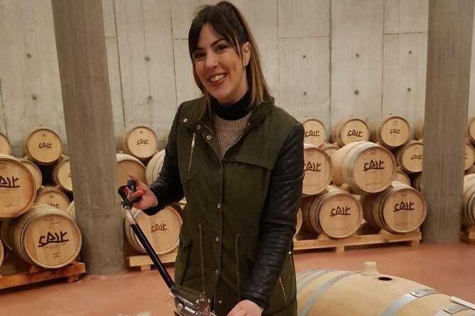 Guided tour glass in hand with wine tasting directly from the barrel - Key Points