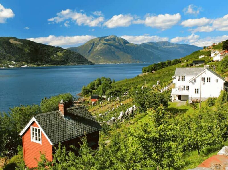Guided tour: Hardangerfjord, Waterfalls and Ferry crossing - Who Is It Best For?