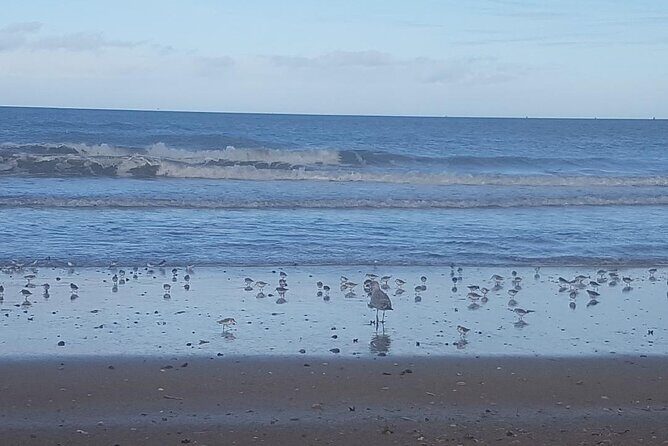 Guided Tour in an Old Convertible Car on the Côte de Nacre - The Practical Side