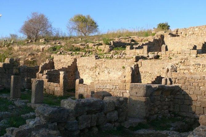Guided Tour in Morgantina. Visit Morgantina. - Is This Tour Right for You?