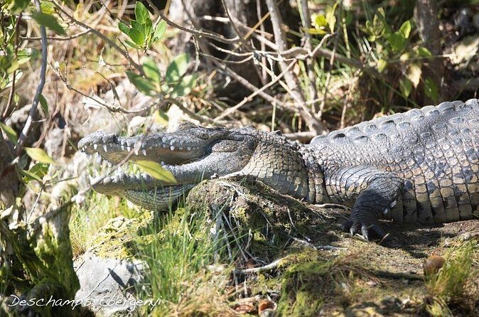 Guided Tour in Sian Ka'an Flora and Fauna Reserve - Who Is This Tour Best For?