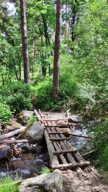 Guided Tour in Valsaín: The Battle of La Granja (Segovia) - Key Points