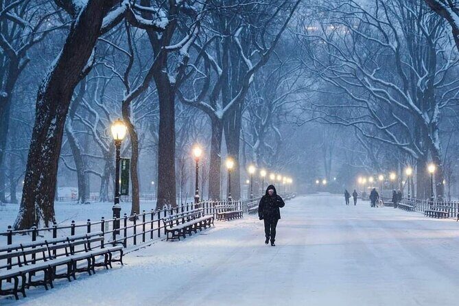 Guided Tour inside Central Park with Pedicab - Final Thoughts: Is This Tour Worth It?