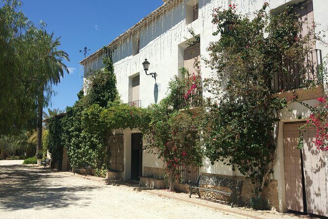 Guided Tour Of An Old Winery with Tasting from Alicante and Elche - Key Points
