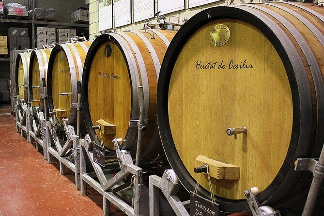 Guided Tour Of An Old Winery with Tasting from Alicante and Elche - Who Will Love This Tour?