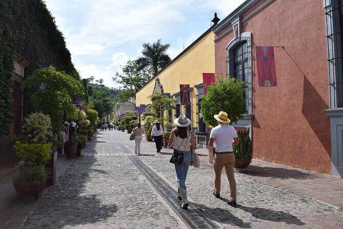 Guided Tour of Guachimontones and Tequila Distillery - The Transport and Practicalities