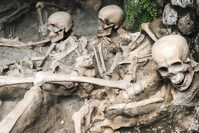 Guided Tour of Herculaneum with Lunch and Ticket Included - FAQ