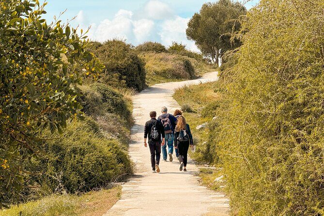 Guided Tour of Limassol with Kourion and Kolossi Castle - The Practicalities: What to Expect