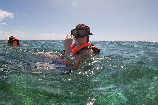 Guided Tour of Puerto Morelos Reefs with Snorkeling Experience - Price and Value Analysis