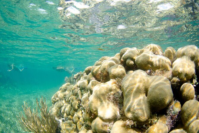 Guided Tour of Puerto Morelos Reefs with Snorkeling Experience - FAQ
