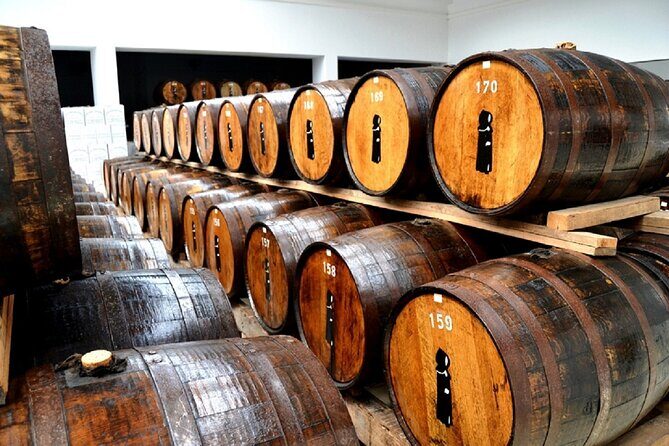 Guided tour of Sete Cidades & Lagoa do Fogo, lunch included - Miradouro da Ponta do Escalvado and Serra de Água de Pau