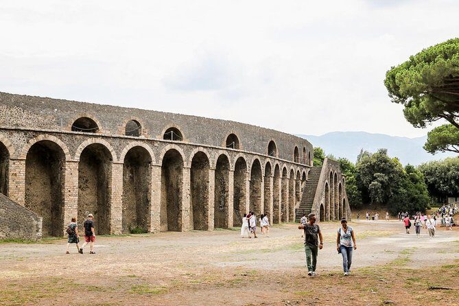 guided tour of the archaeological excavations of Pompeii - Analyzing the Value and Who Its For