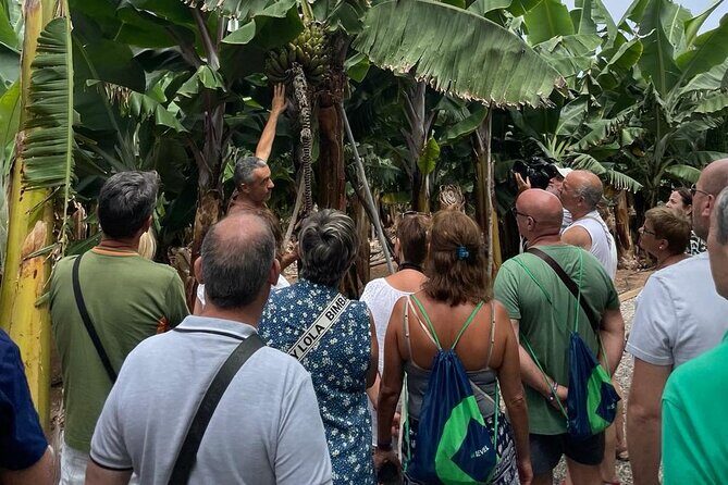 Guided tour of the Banana World - Key Points