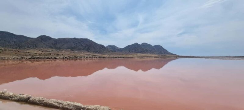 Guided tour of the Cabo de Gata salt flats - Key Points