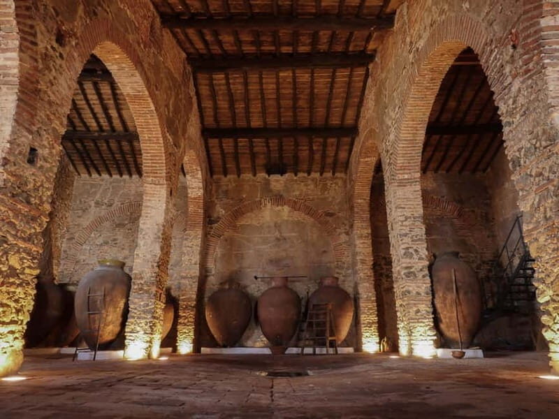 Guided tour of the Cella Vinaria Antiqua Wine Cellar Museum - What Makes This Experience Stand Out?