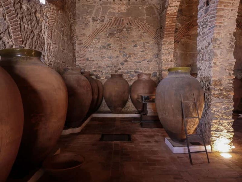 Guided tour of the Cella Vinaria Antiqua Wine Cellar Museum - Value for Money