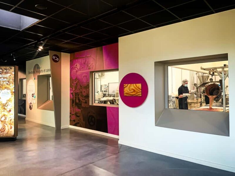 Guided tour of the chocolate factory and tasting in Trèbes - Key Points