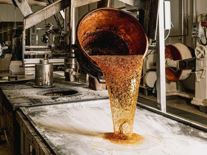 Guided tour of the chocolate factory and tasting in Trèbes - Who Should Consider This Tour?