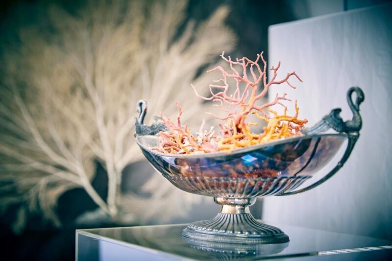 Guided tour of the coral museum in Sciacca - Key Points