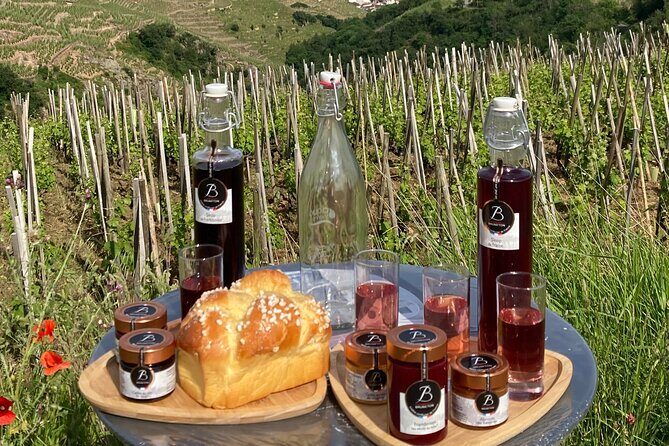 Guided Tour of the Coteaux Côte Rôtie for Parents and Children Duos - Final Thoughts: Is It Worth It?