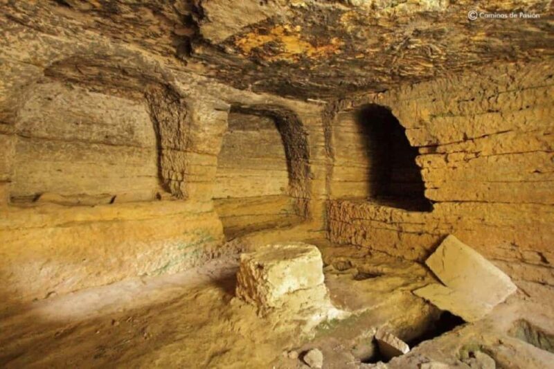 Guided tour of the Coto de las Canteras and the Roman necropolis - Final thoughts