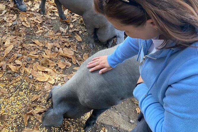 Guided Tour of the Genal Valley - Key Points