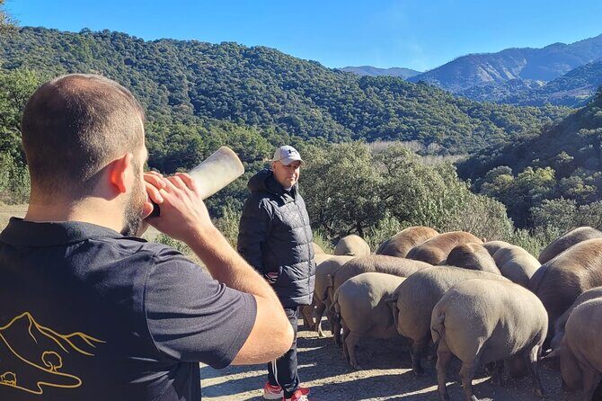 Guided Tour of the Genal Valley - A Deep Dive into the Guided Tour of the Genal Valley