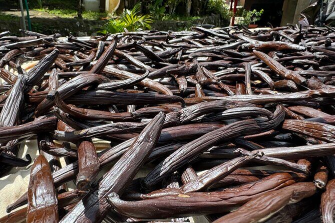 Guided tour of the island and its escapades in Tahaa by Quad / ATV - Who Should Consider This Tour?