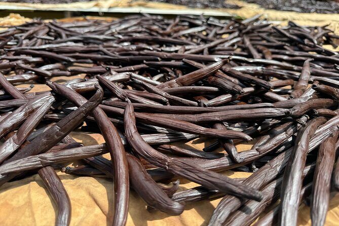 Guided tour of the island and its escapades in Tahaa by Quad / ATV - Wrapping It All Up