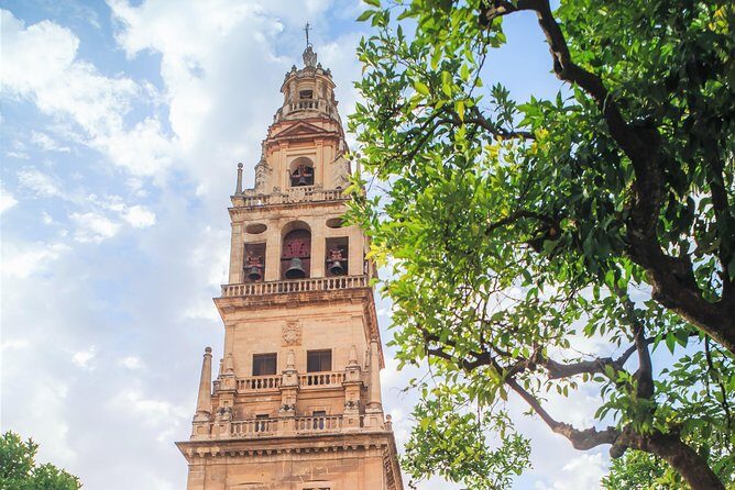 Guided tour of the Mosque with entrance included - Practical Details