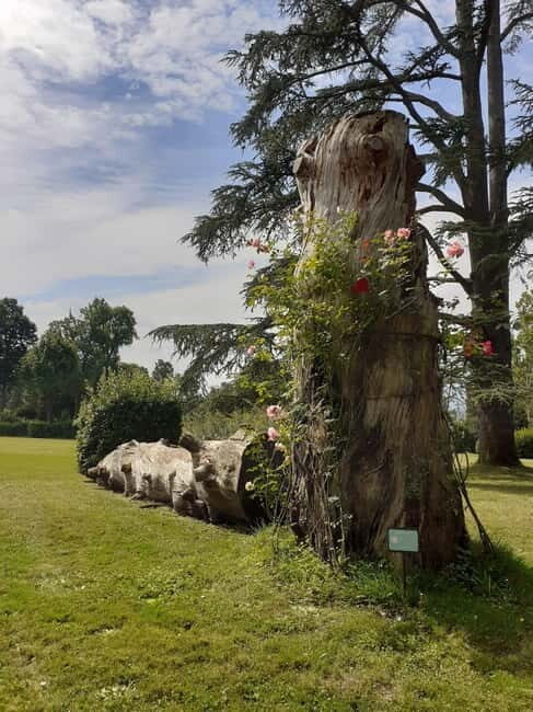 Guided tour of the park of Villa Reale di Marlia - Authentic Feedback and What Visitors Say
