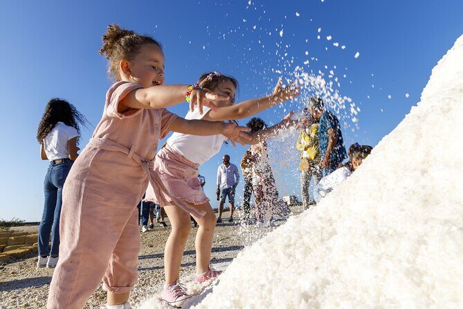 Guided tour of the salt pans of Trapani and the Salt Museum - Key Points