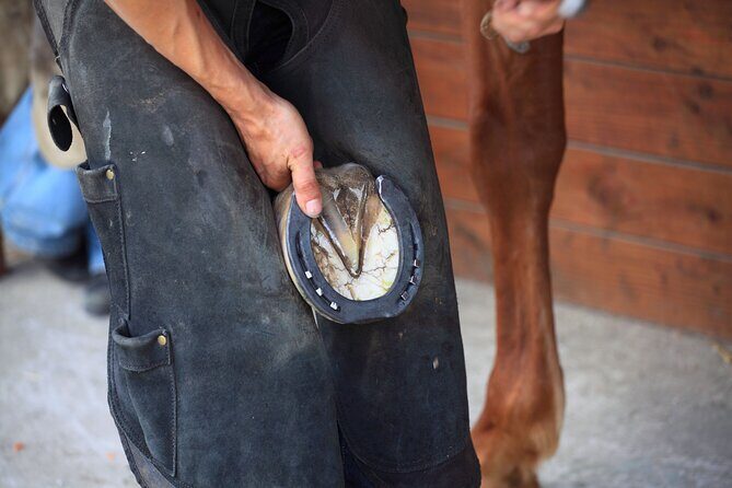 Guided tour of the stables of El Ranchito in Malaga - Practical Details and Tips