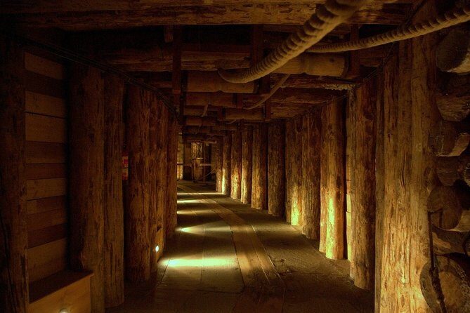 Guided Tour of the Wieliczka Salt Mine and Transfer from Krakow - Who Should Consider This Tour?