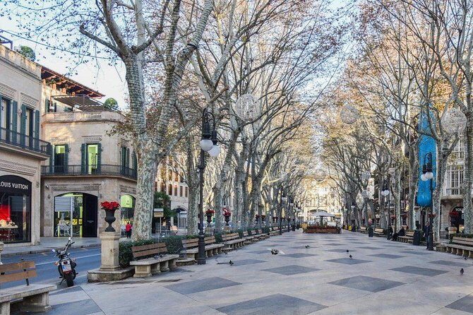 Guided Tour: Palma Old town and Cathedral Visit - The Practical Details