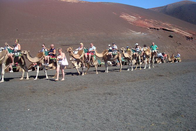 Guided tour: Timanfaya National Park and La Geria with pick-up - Key Points