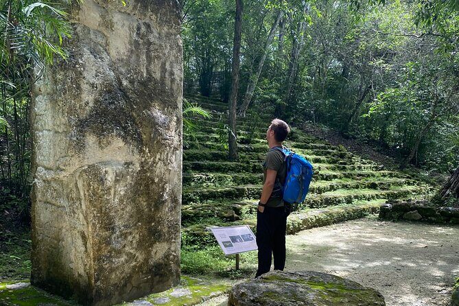 Guided Tour to Calakmul and Jungle Trail | From Bacalar. - Jungle Walk and Wildlife Encounters