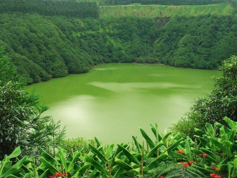 Guided Tour to the green & blue Lake of Sete Cidades - Practical Considerations and Value