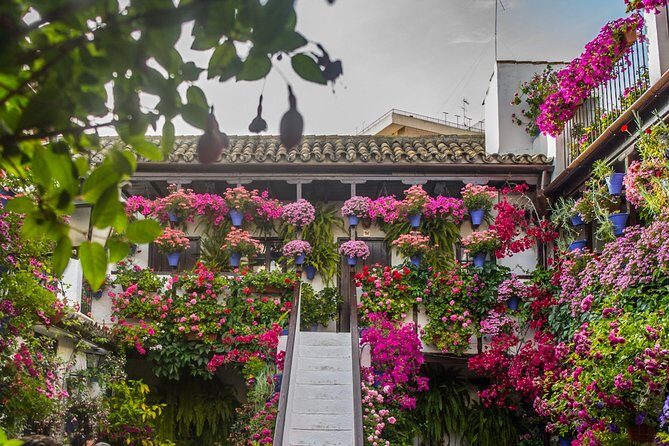 Guided Tour to the Popular Patios of Cordoba - Exploring Cordoba’s Patios: What to Expect