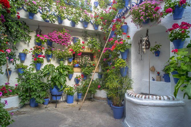 Guided Tour to the Popular Patios of Cordoba - Authentic Insights from Reviews
