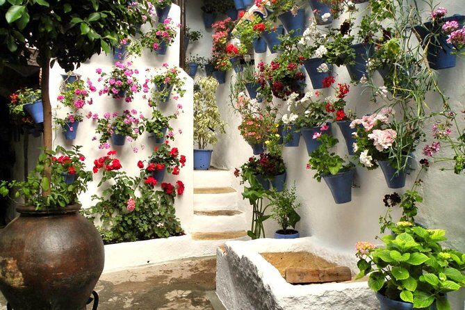 Guided Tour to the Popular Patios of Cordoba - Final Thoughts