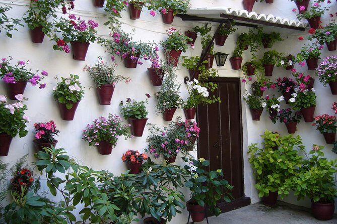 Guided Tour to the Popular Patios of Cordoba - FAQ